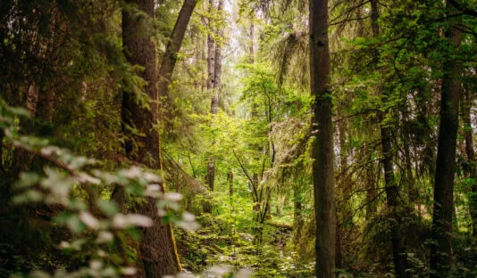 Juli 2024 54 2379x1350 c center