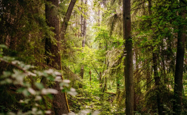 Juli 2024 54 2379x1350 c center