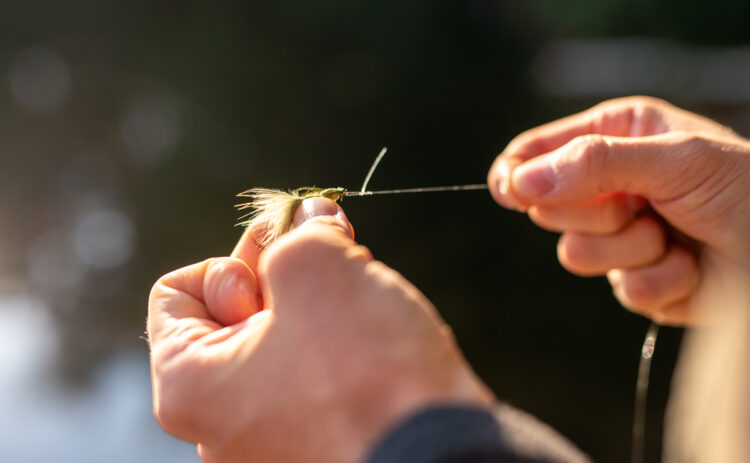 Bild på händer som knyter fluga på fiskelina