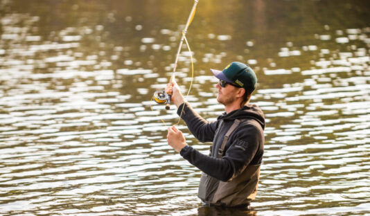 Fiske Gommaren 0007 856x631 c center