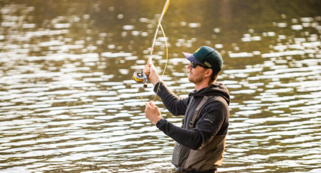 Fiske Gommaren 0007 856x631 c center