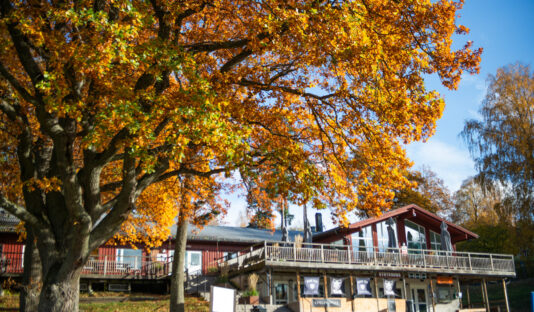 Värdshus omgivet av natur i höstskrud.
