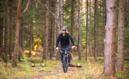 MTB-cyklist cyklar i en tall och granskog