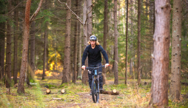 MTB-cyklist cyklar i en tall och granskog