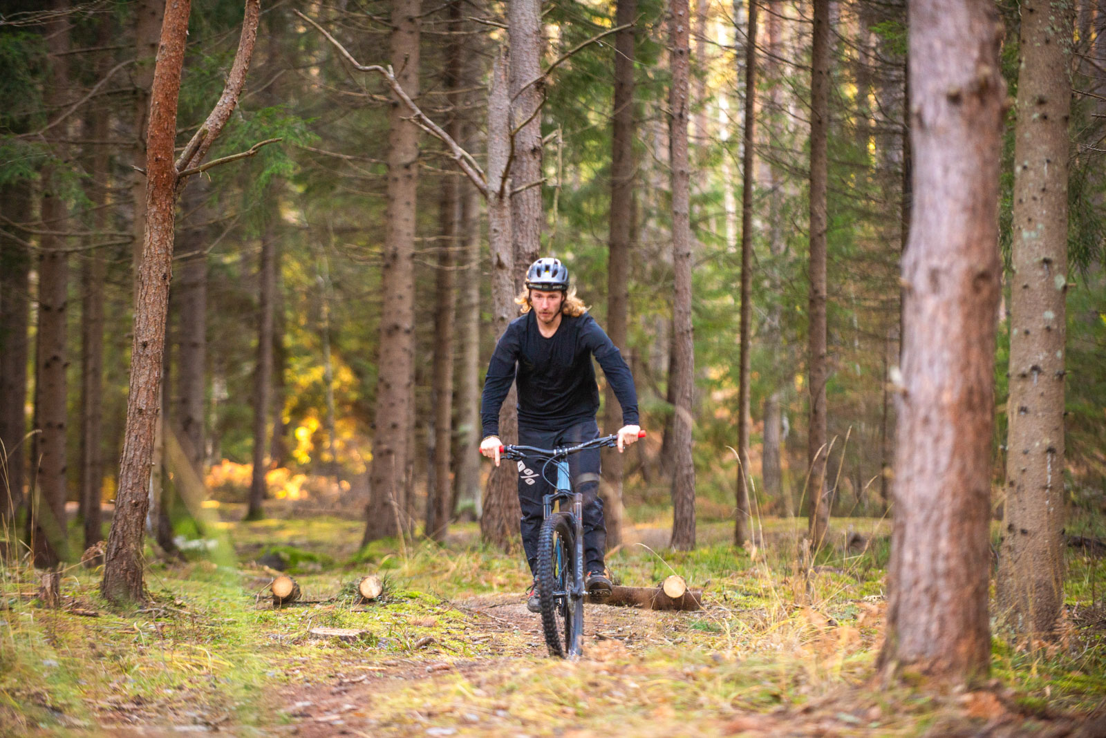 MTB-cyklist cyklar i en tall och granskog