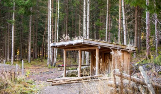 Bild på Spårvägens Flowtrail, cykelled för mountainbike och XCO nära Flottsbro i Huddinge