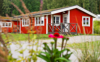 Röd stuga sedd snett framifrån, i förgrunden syns en rosa blomma och bakom stugan syns gröna träd.