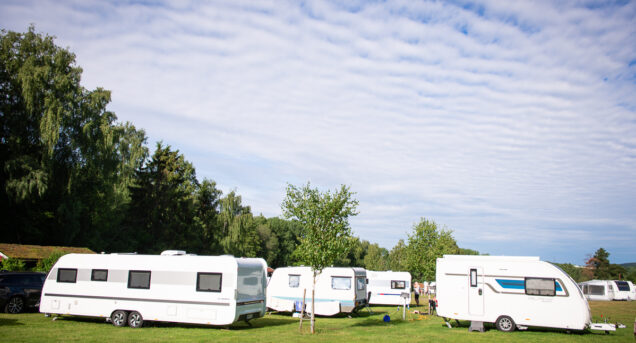 Bilden visar tre husvagnar på en campingplats omgiven av skog en solig sommardag.