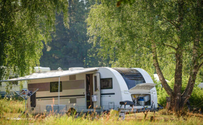 Stor husvagn parkerad under lummiga björkar, i bakgrunden syns mörkgrön skog.