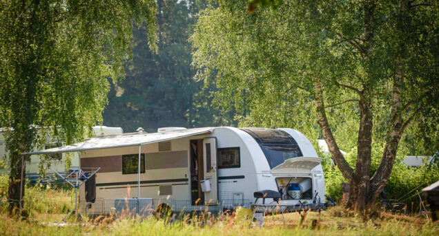 Stor husvagn parkerad under lummiga björkar, i bakgrunden syns mörkgrön skog.