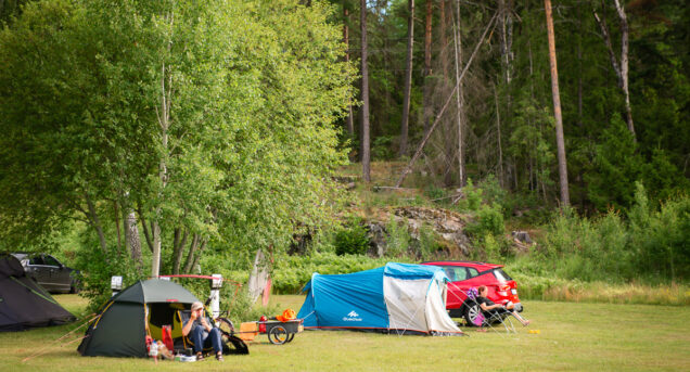 Två uppställda tält på en grön gräsmatta, i bakgrunden syns lummig skog.