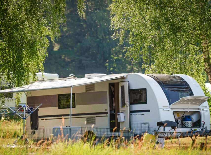 Bild på husbil parkerad mellan grönskande björkar.