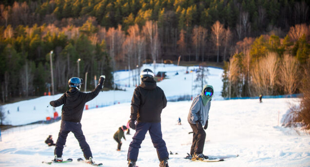 Tre ungdomar sedda bakifrån som står i mitten av familjebacken, i bakgrunden syns skogen.