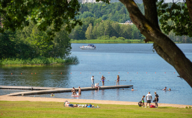 Bild på Flottsbro badstrand på sommaren med människor som badar, i förgrunden syns stammen av ett stort träd .