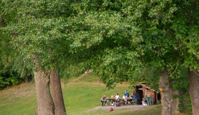 En grupp med människor vid en grillplats i naturen.