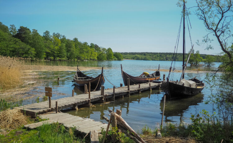 Bild på tre stycken vikingaskepp vid Birka vikingaby i Mälaren.
