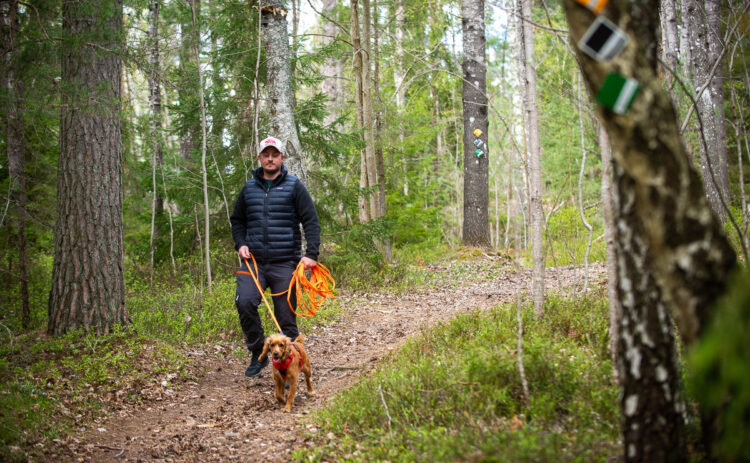 Bilden visar en person och en hund på promenad i skogen.