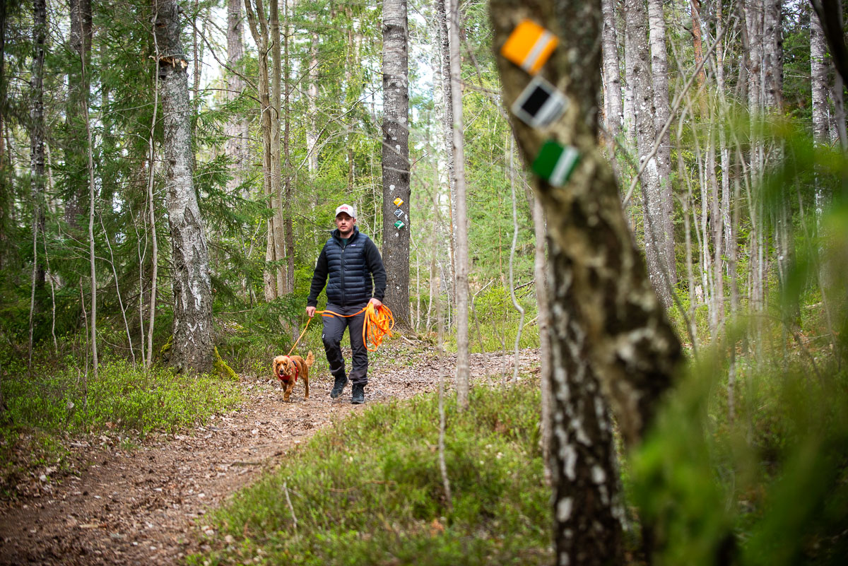 En man vandrar med sin hund på en skogsstig.