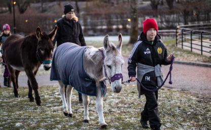 Radsparken7-Dold-fran-260119-liten-Listbild