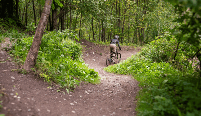 En person som cyklar på cykelspår omgiven av natur sedd bakifrån